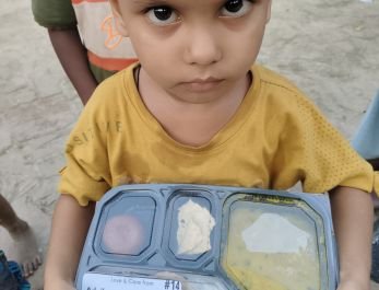 Meal Tray 